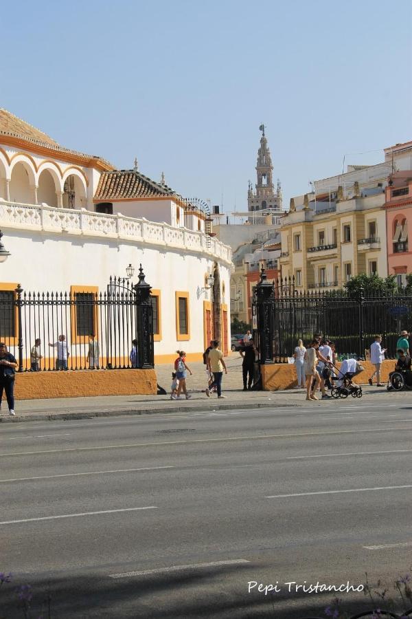 Suites Las Setas & Bicicletas Electricas Gratis Seville Ngoại thất bức ảnh